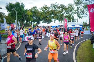 BIB: 
                            <button type="button" onclick="openModal(26550386)" class="btn btn-primary btn-sm float-right btn-popup" data-toggle="modal" data-target=".modal-high-quality">
                        <i class="fas fa-shopping-cart"></i> Add to Cart
                    </button>
                                            <button type="button" onclick="isThisMe(26550386, true)" class="btn btn-success btn-sm float-right btn-popup btn-isme hidden" data-toggle="tooltip" data-placement="bottom" title="นี่คือรูปของคุณใช่ไหม คลิกที่นี่เพื่อเอาเข้าอัลบั้ม">
                        <i class="fas fa-plus"></i> Add to album
                    </button>
                    <button type="button" onclick="isThisMe(26550386, false)" class="btn btn-warning btn-sm float-right btn-popup btn-isnotme hidden">
                        <i class="fas fa-ban"></i> Remove from album
                    </button>